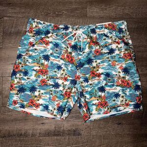 Arizona Men's multi Swim-briefs-shorts